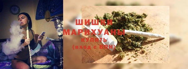мдпв Гусь-Хрустальный