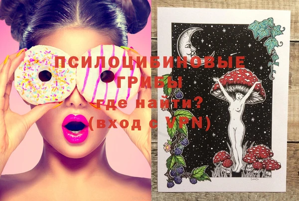мдпв Гусь-Хрустальный