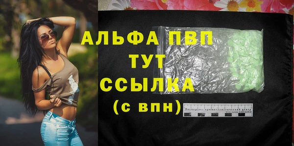 spice Гусиноозёрск