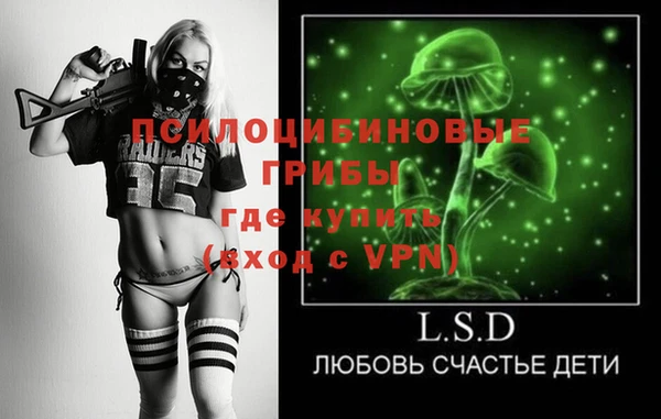 spice Гусиноозёрск